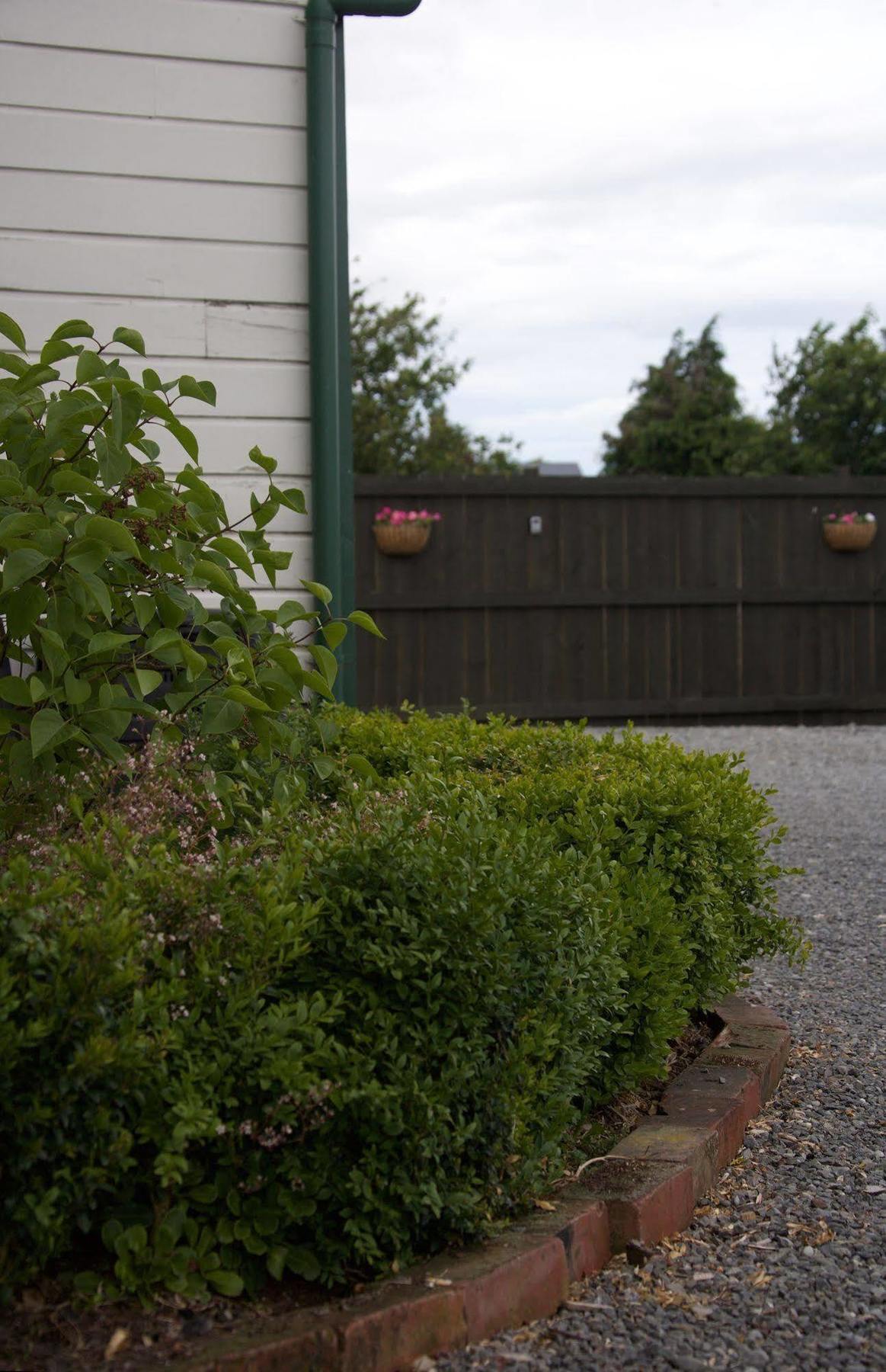 Pinedale Lodge & Apartment Methven Exterior foto