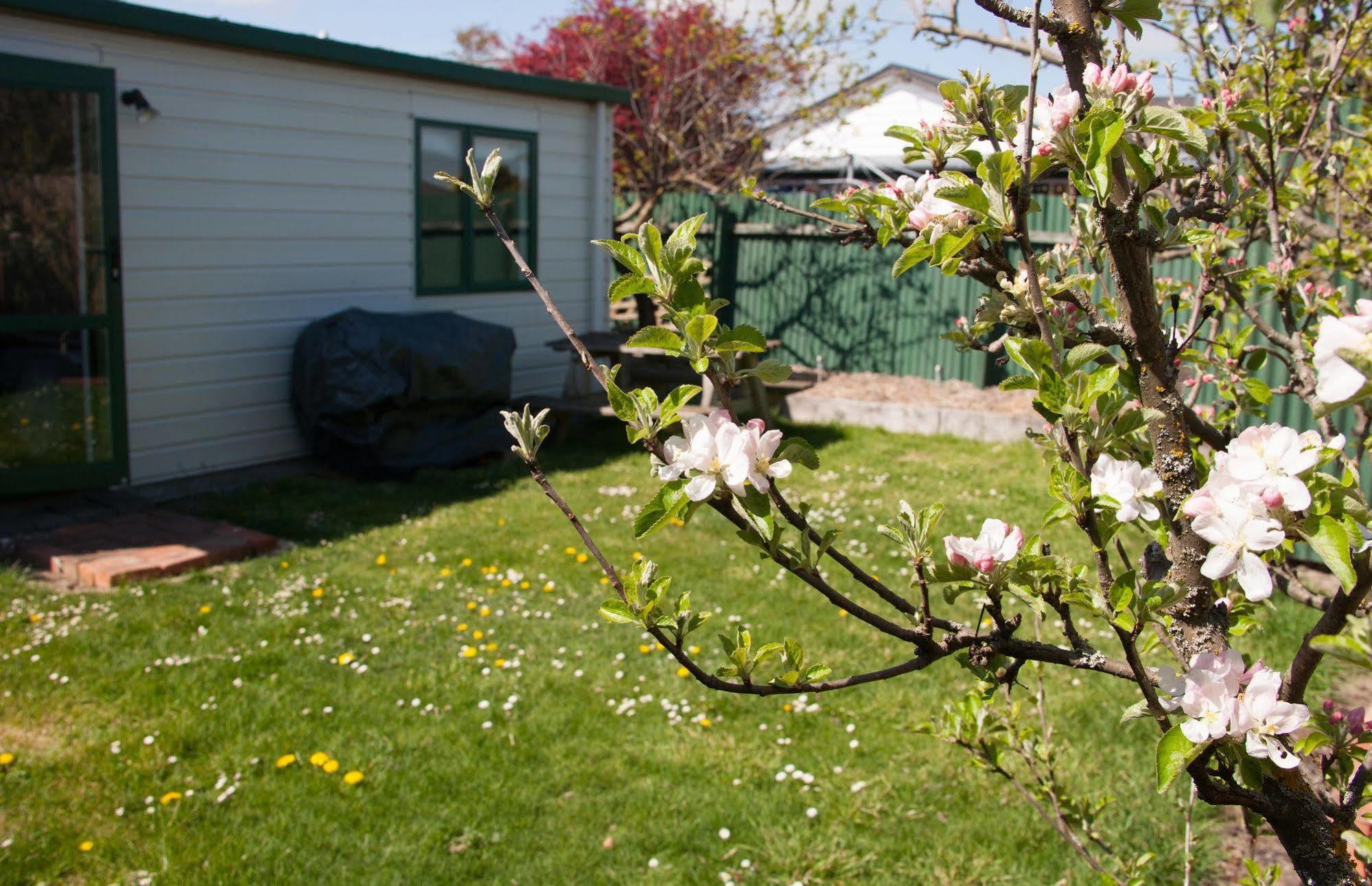 Pinedale Lodge & Apartment Methven Exterior foto